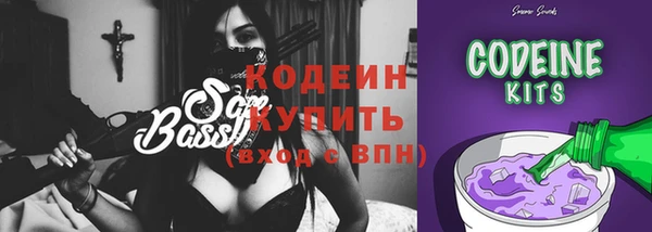 apvp Инта