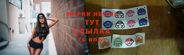apvp Инта