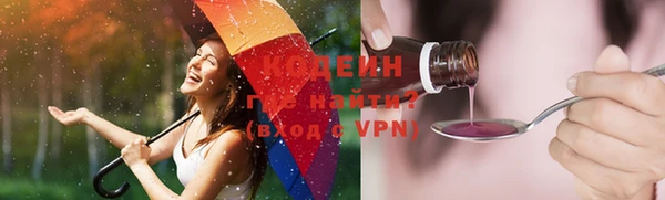 apvp Инта