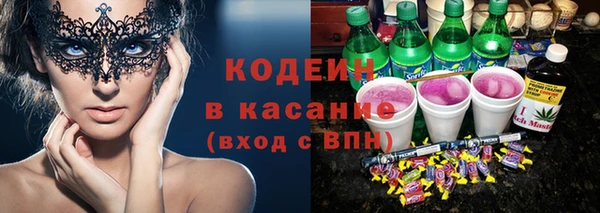 apvp Инта