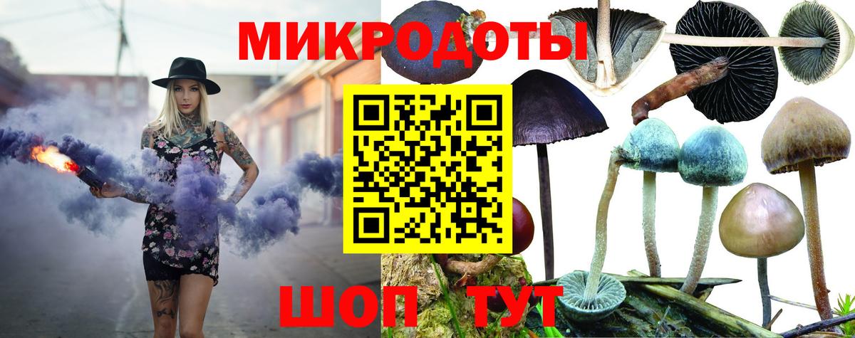 Псилоцибиновые грибы Psilocybine cubensis Сокол